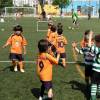 Jg Convívio Mr.Foot x Sporting (Petizes)
